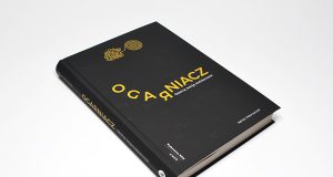 Ogarniacz