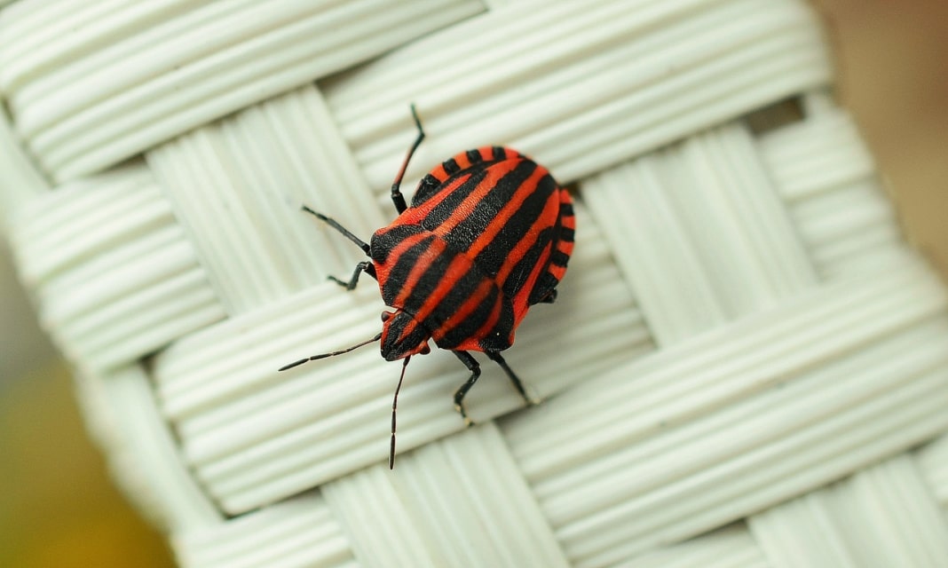 Błąd 403, jak naprawić?