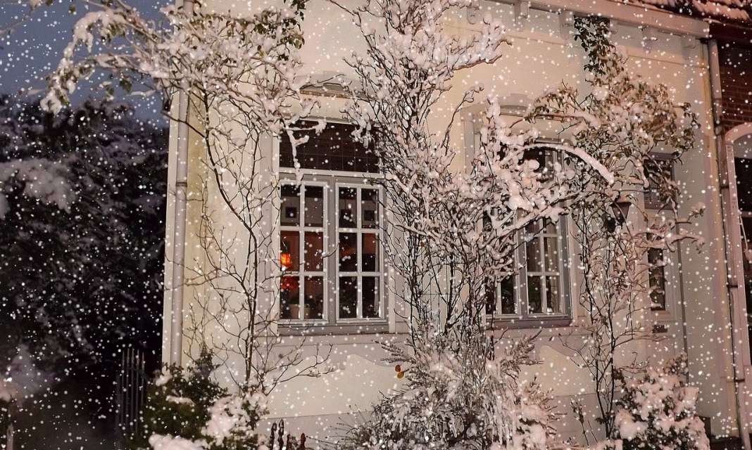 Choinka Na Scianie Jak Zrobic?