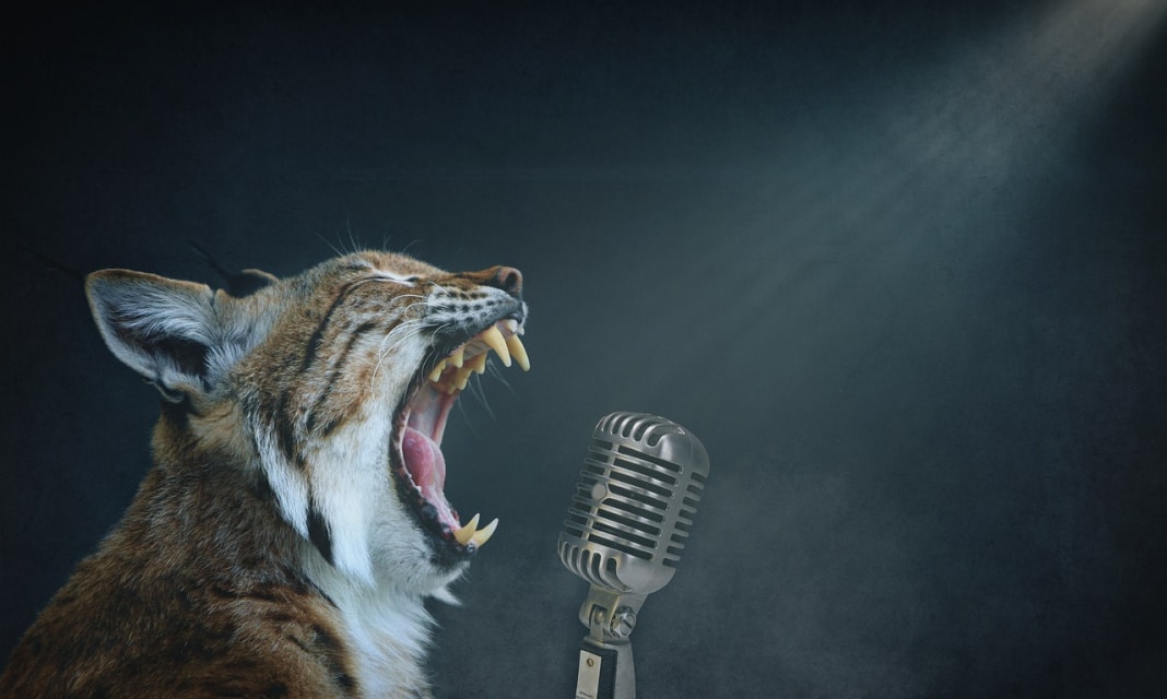 Jak naprawić mikrofon w laptopie?