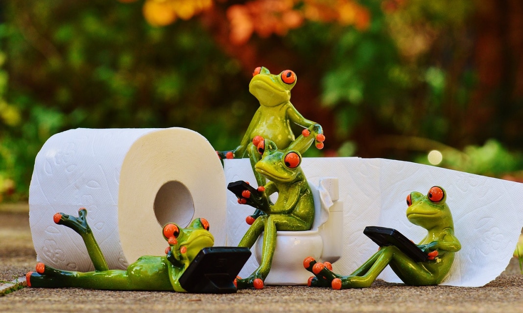 Jak naprawić rozdrabniacz wc?