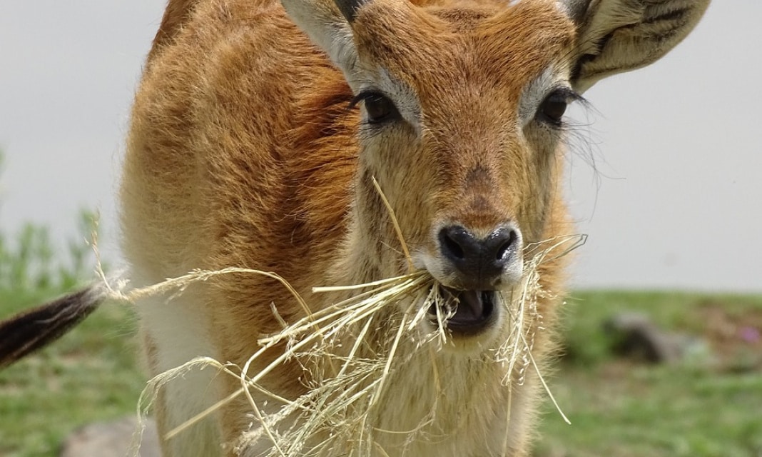 Jak naprawić wannę akrylową?
