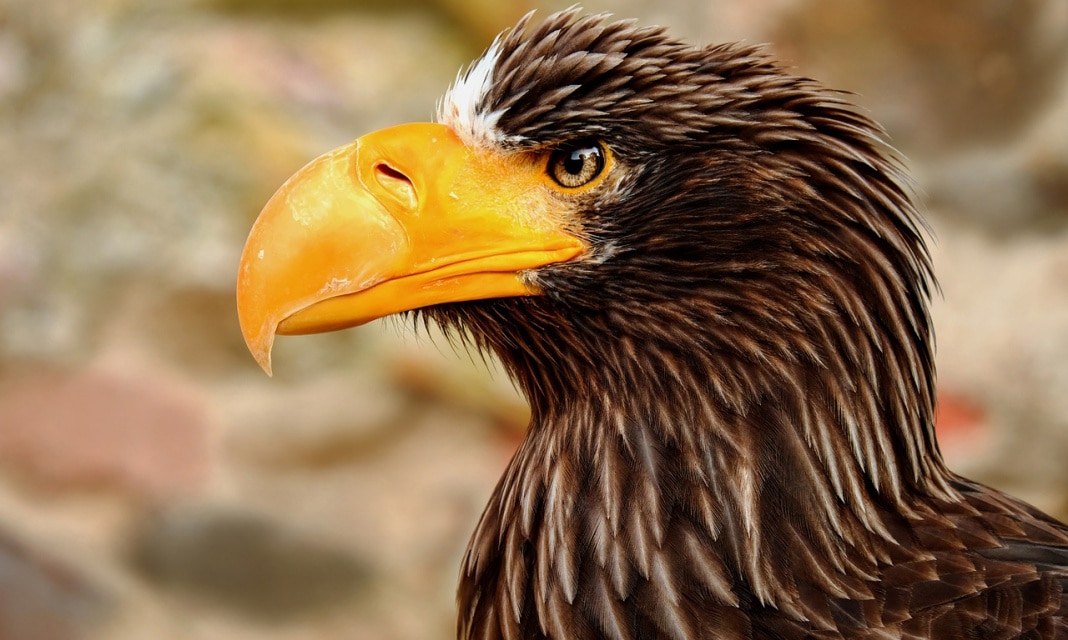 Jak naprawić zamek słomką?