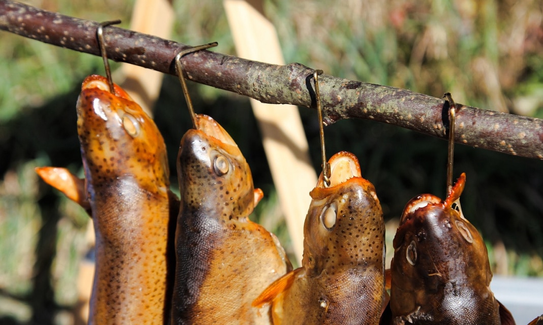 Jak Zrobić Palenisko Do Wędzarni?
