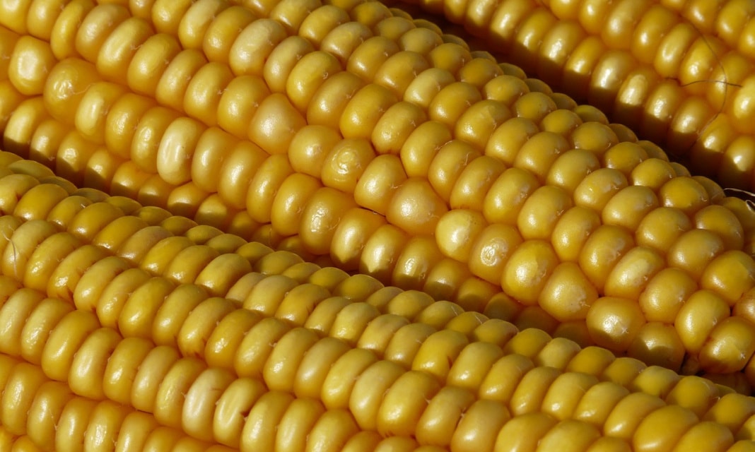 Jak Zrobić Piston W Minecraft?