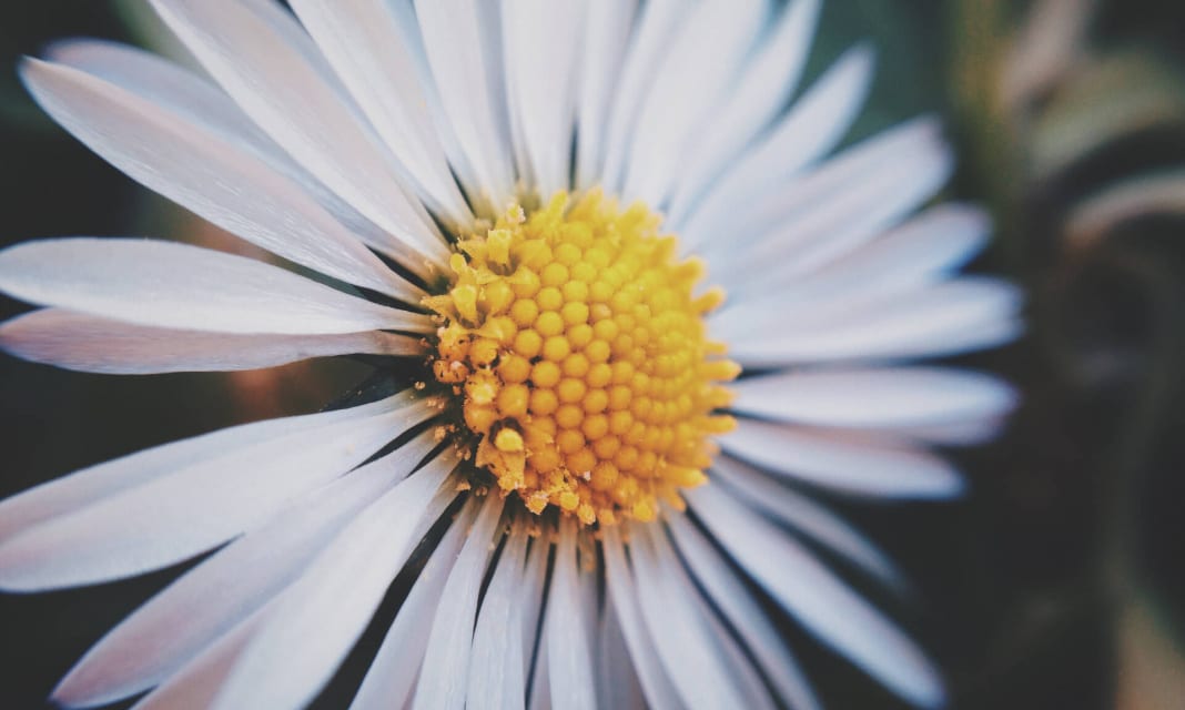 Nie jest prawidłową aplikacją systemu win32, jak naprawić?